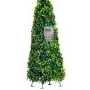 Smart Garden 60 Cm Boxwood Obelisk -Home Comprehensive 6367Q SQ1 0000000088 NO COLOR MDf1