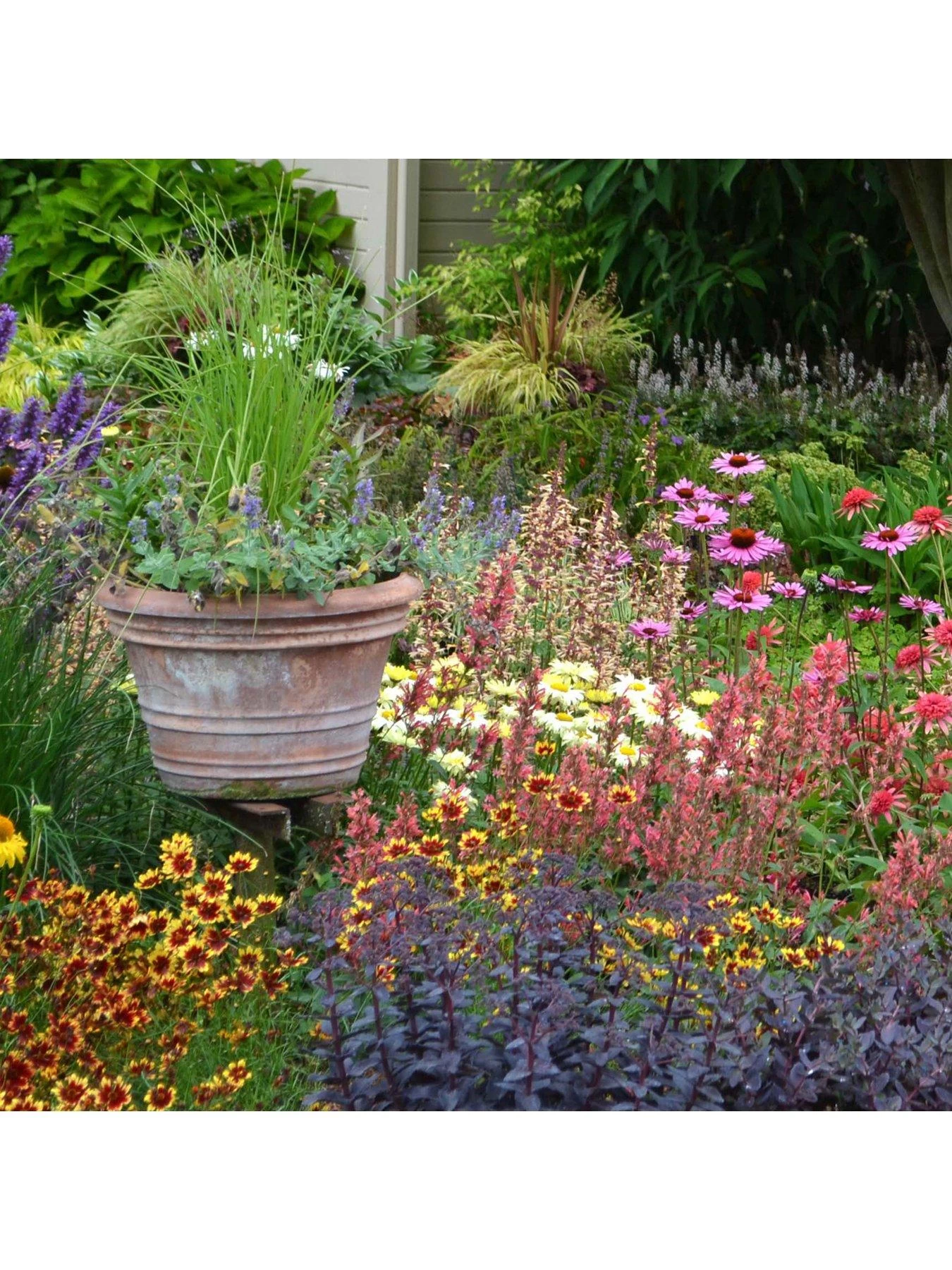 Home Comprehensive -Home Comprehensive Q4GQ4 SQ1 0000000088 NO COLOR SLf