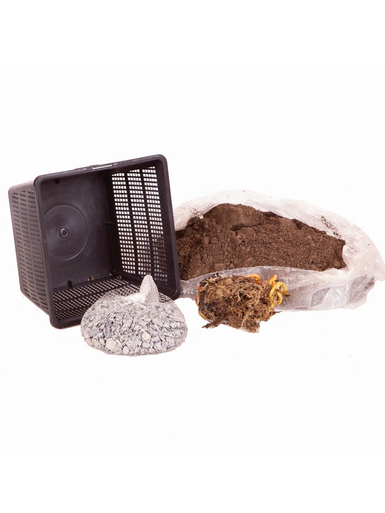 Water Lily Planting Kit - Pink 5 Water Lily Planting Kit - Pink - Image 3