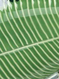 Green Leaf Trinket Dish 11 Green Leaf Trinket Dish -Home Comprehensive QENCE SQ5 0000000047 GREEN SLd3