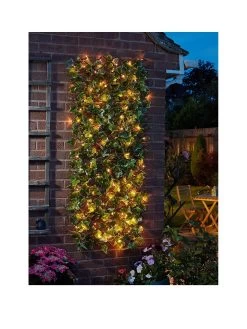 Smart Solar Solar In-lit Ivy Trellis - 60 X 180cm
