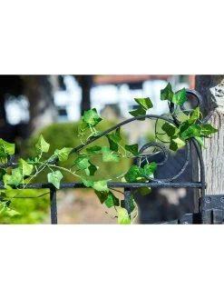 Smart Solar Ivy Firefly Solar String Lights -Home Comprehensive RCF43 SQ3 0000000099 N A SLd1