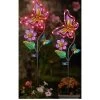 Smart Solar 2 Pack Flutterbella Garden Stake Lights 2 Smart Solar 2 Pack Flutterbella Garden Stake Lights -Home Comprehensive RCF4P SQ1 0000000099 N A SLf