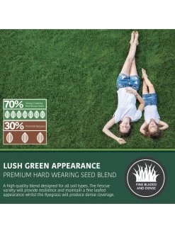 Home Comprehensive -Home Comprehensive RF3FR SQ2 0000000088 NO COLOR SLd