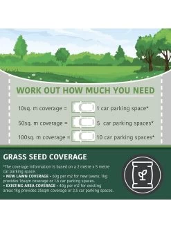 Multi Purpose & Hard-Wearing Grass Seed Mix Back Lawn 1kg -Home Comprehensive RF3FR SQ3 0000000088 NO COLOR SLd1