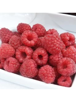 Raspberry Sweet Sunshine 2L 6 Raspberry Sweet Sunshine 2L -Home Comprehensive RQC3X SQ3 0000000088 NO COLOR SLd1