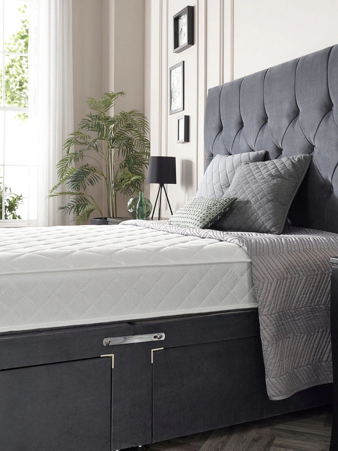 Aspire Comfort Rolled Mattress 6 Aspire Comfort Rolled Mattress - Image 4