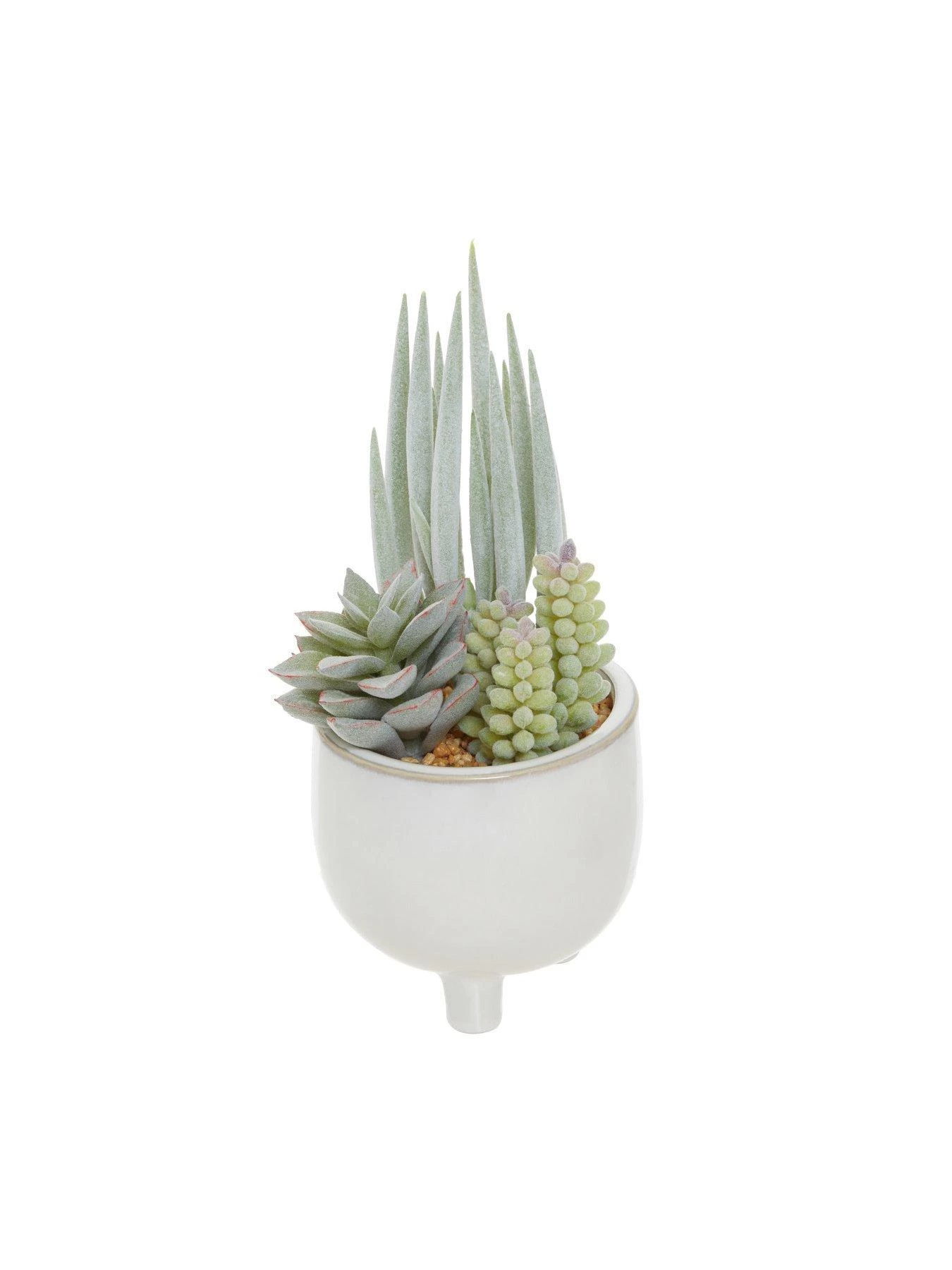 Premier Housewares Fiori Mixed Succulents In White Pot 4 Premier Housewares Fiori Mixed Succulents In White Pot - Image 2