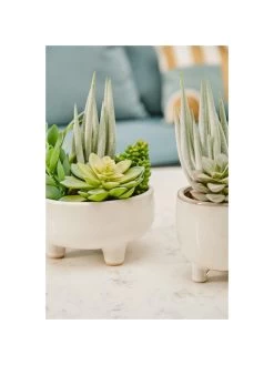 Premier Housewares Fiori Mixed Succulents In White Pot 11 Premier Housewares Fiori Mixed Succulents In White Pot -Home Comprehensive UTHXY SQ4 0000000013 WHITE SLd2