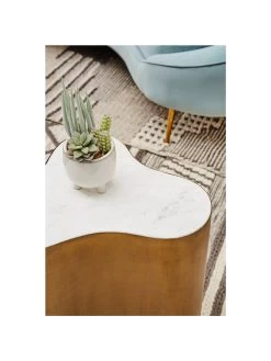 Premier Housewares Fiori Mixed Succulents In White Pot 12 Premier Housewares Fiori Mixed Succulents In White Pot -Home Comprehensive UTHXY SQ5 0000000013 WHITE SLd3