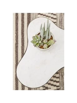 Premier Housewares Fiori Mixed Succulents In White Pot 13 Premier Housewares Fiori Mixed Succulents In White Pot -Home Comprehensive UTHXY SQ6 0000000013 WHITE SLd4