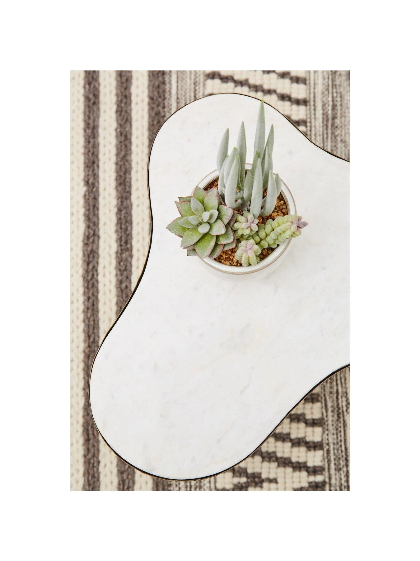 Premier Housewares Fiori Mixed Succulents In White Pot 8 Premier Housewares Fiori Mixed Succulents In White Pot - Image 6