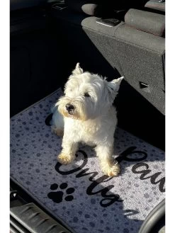 Clean Paws Only Pet Boot Mat 8 Clean Paws Only Pet Boot Mat -Home Comprehensive V2MMW SQ2 0000000088 NO COLOR RSr