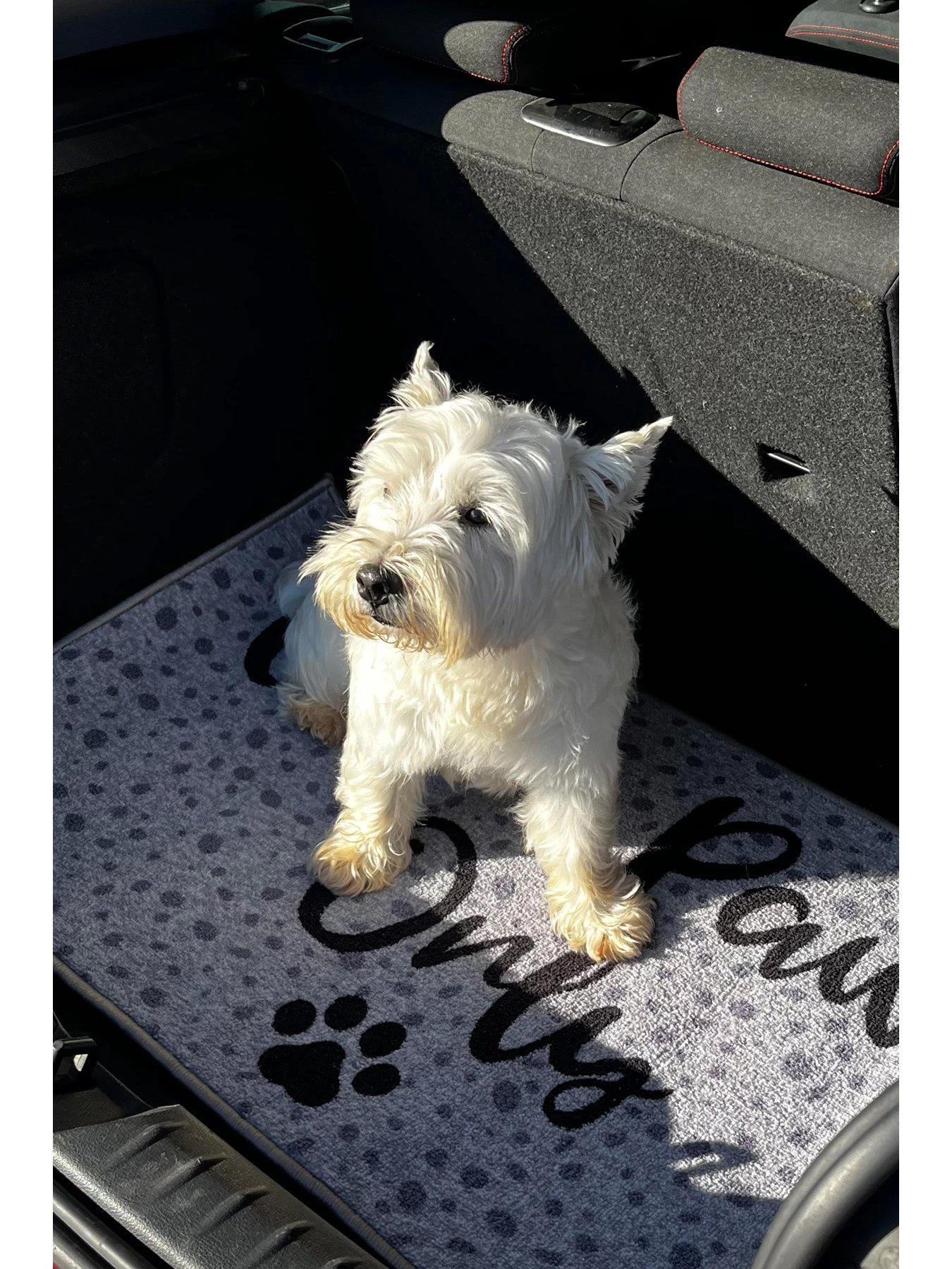 Clean Paws Only Pet Boot Mat 4 Clean Paws Only Pet Boot Mat - Image 2