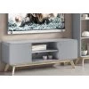 Cassie 2 Door TV Stand
