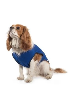 Pet Brands Dog Cooling Vest XLge