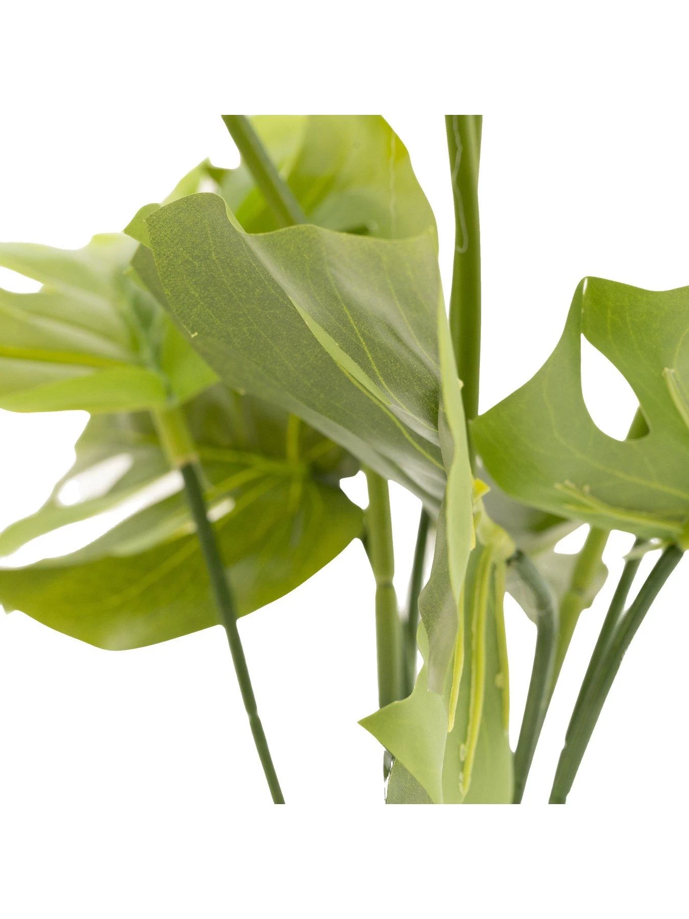 Very Home Large Faux Cheese Plant In Round Planter 4 Very Home Large Faux Cheese Plant In Round Planter - Image 2