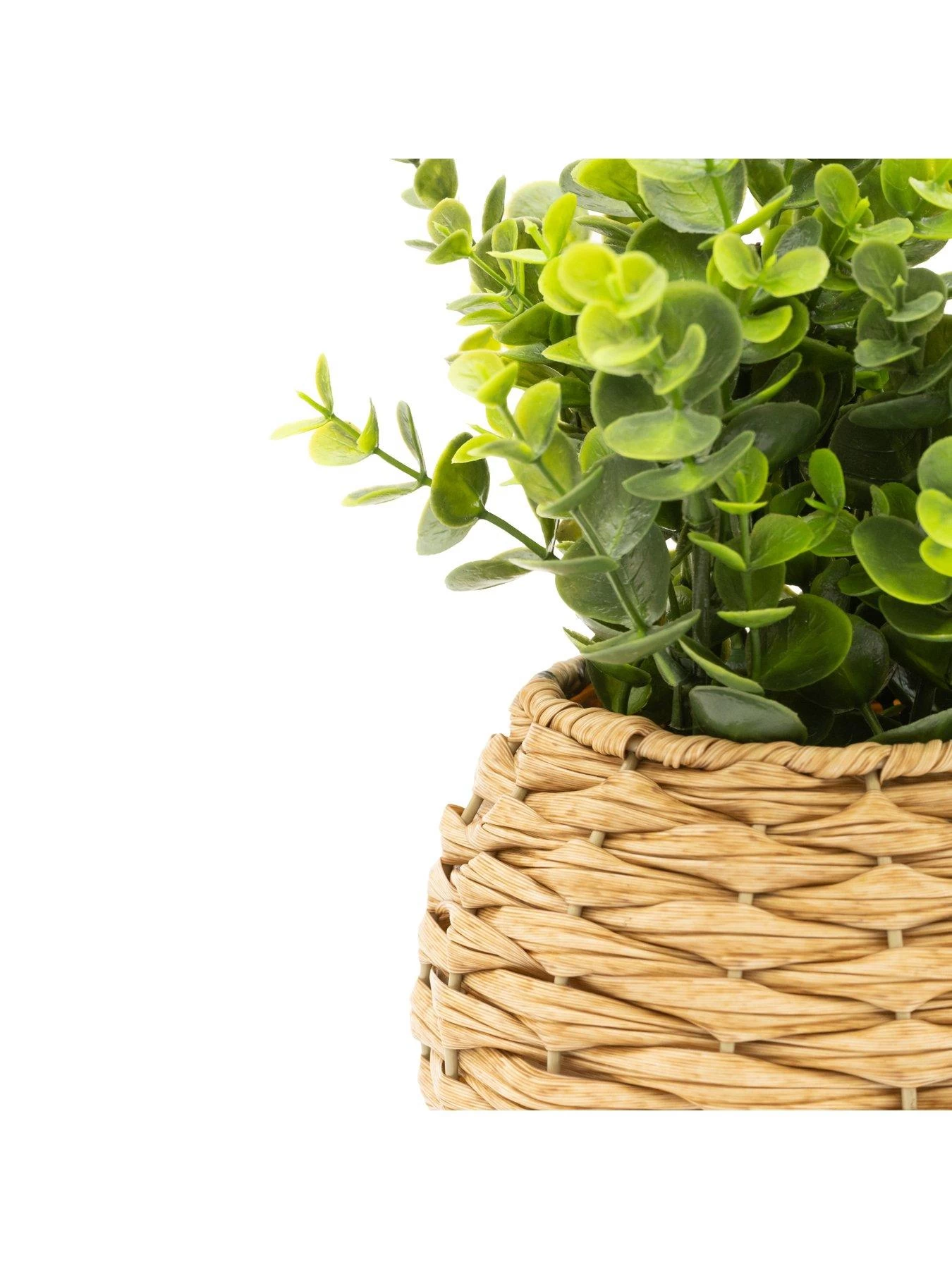 Very Home Faux Herbs In Rattan Planter 4 Very Home Faux Herbs In Rattan Planter - Image 2