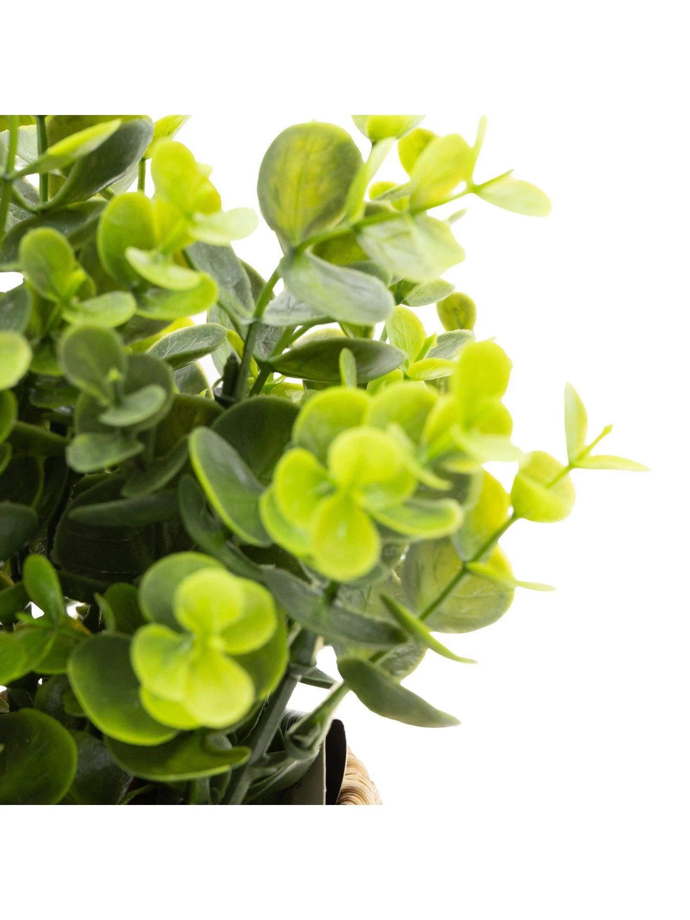 Very Home Faux Herbs In Rattan Planter 5 Very Home Faux Herbs In Rattan Planter - Image 3