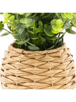 Very Home Faux Herbs In Rattan Planter 9 Very Home Faux Herbs In Rattan Planter -Home Comprehensive VP0JC SQ4 0000000047 GREEN SLd2