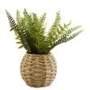 Very Home Fern In Natural Basket