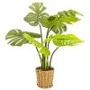 Very Home Faux Cheese Plant In Wicker Planter 2 Very Home Faux Cheese Plant In Wicker Planter -Home Comprehensive VP0JH SQ1 0000000047 GREEN SLf