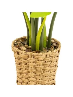 Very Home Faux Cheese Plant In Wicker Planter 9 Very Home Faux Cheese Plant In Wicker Planter -Home Comprehensive VP0JH SQ4 0000000047 GREEN SLd2