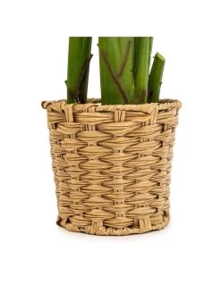 Very Home Faux Plant In Wicker Planter -Home Comprehensive VP0JM SQ3 0000000047 GREEN SLd1