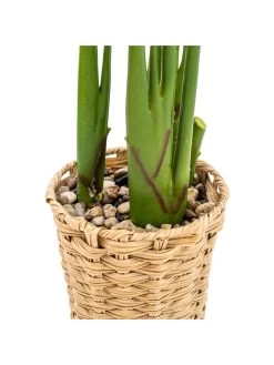 Very Home Faux Plant In Wicker Planter -Home Comprehensive VP0JM SQ4 0000000047 GREEN SLd2